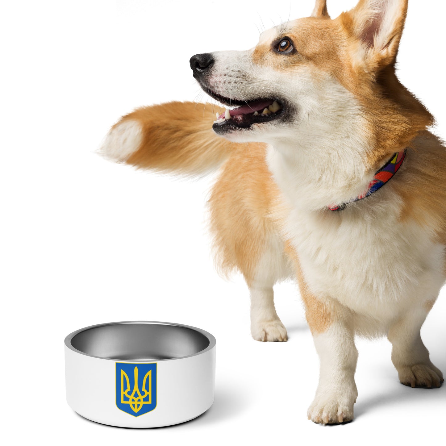 Pet Bowl - Trident