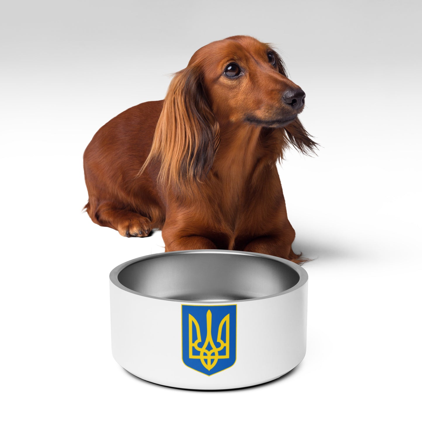 Pet Bowl - Trident