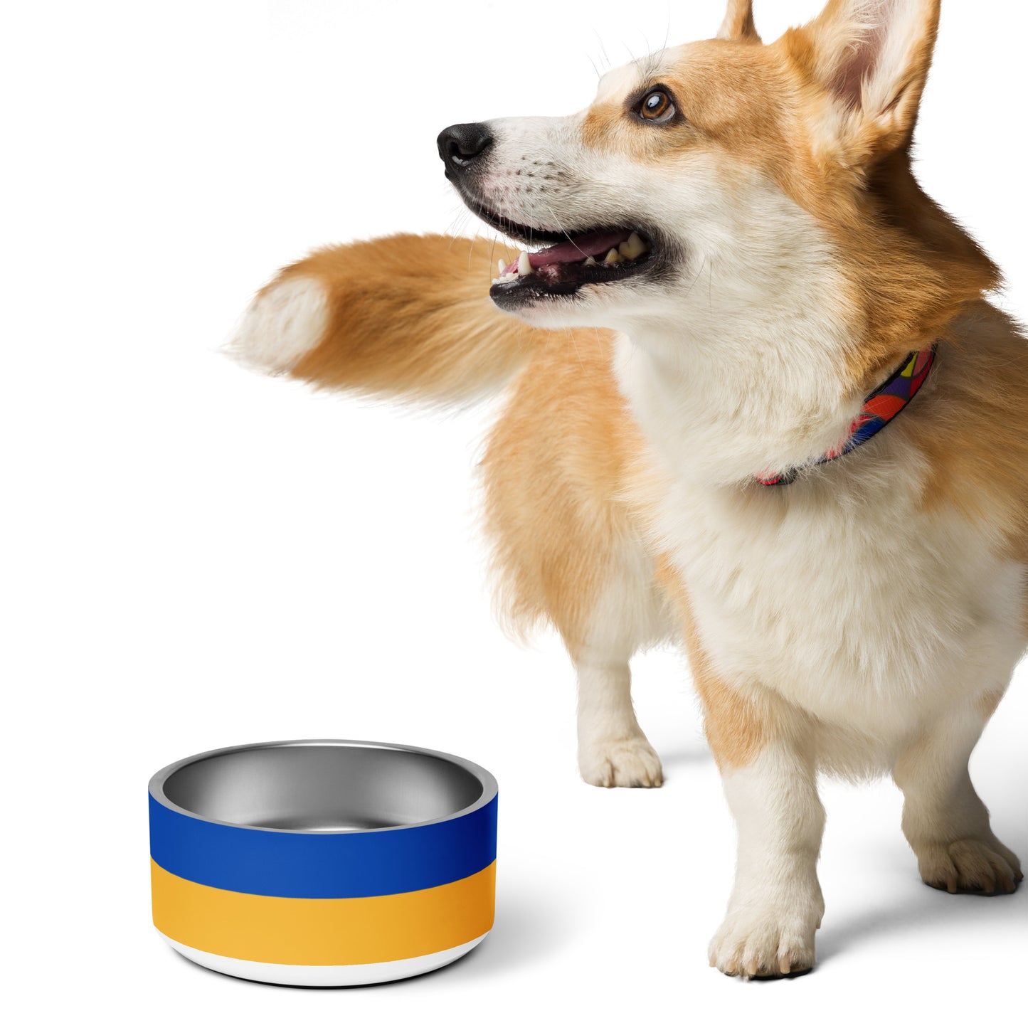 Pet Bowl - Ukrainian Flag