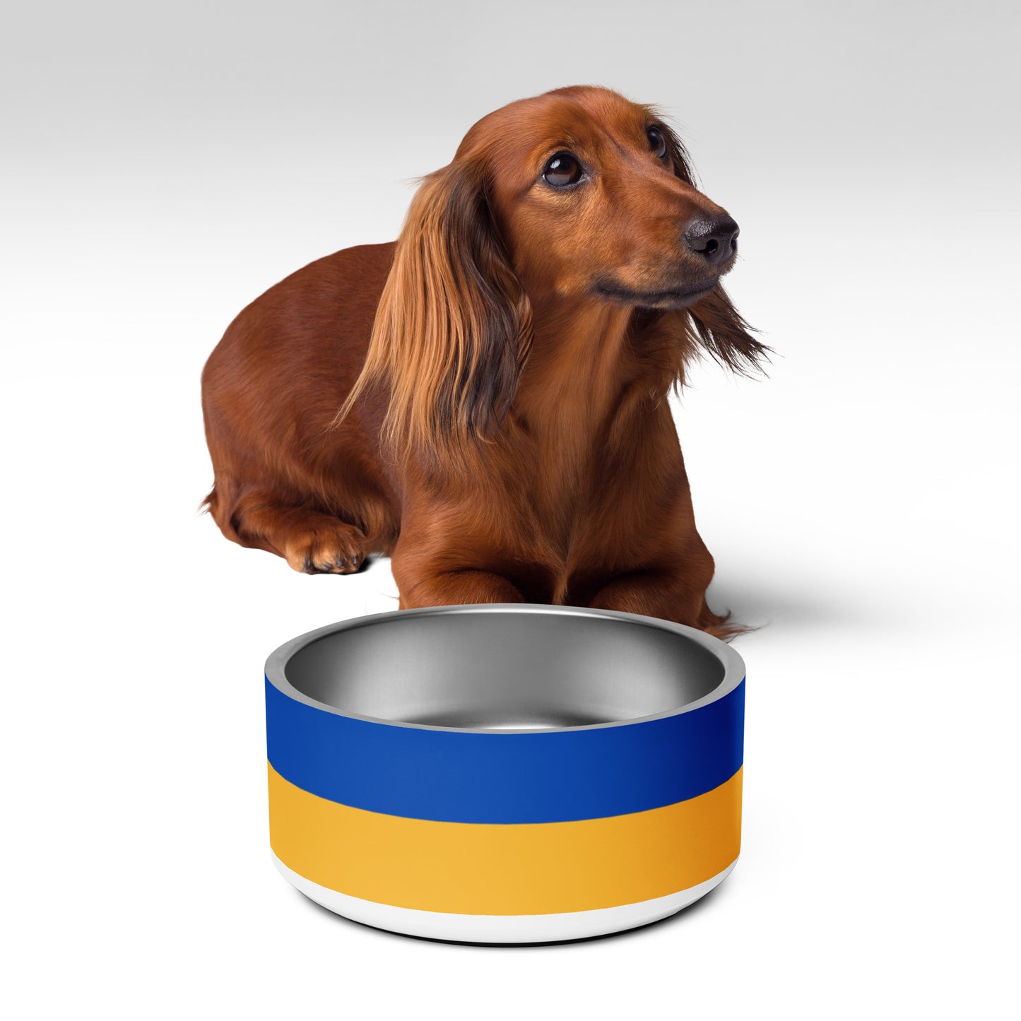 Pet Bowl - Ukrainian Flag
