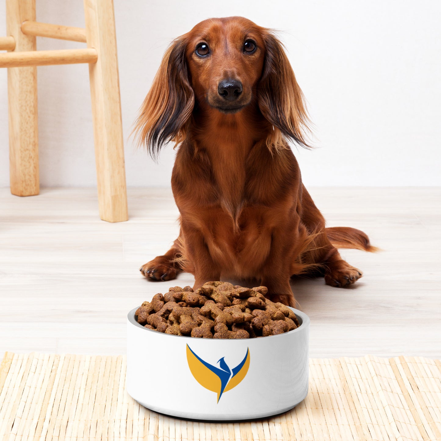 Pet Bowl - Phoenix