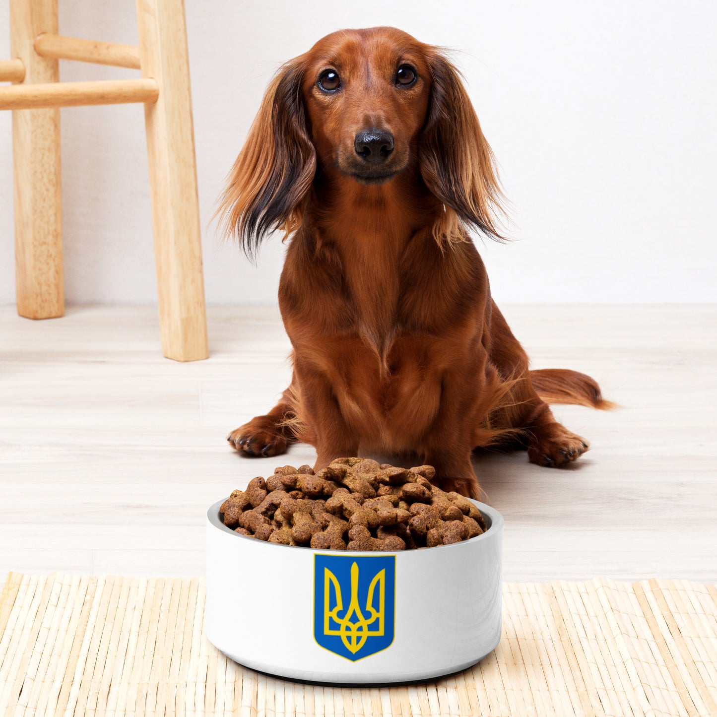 Pet Bowl - Trident