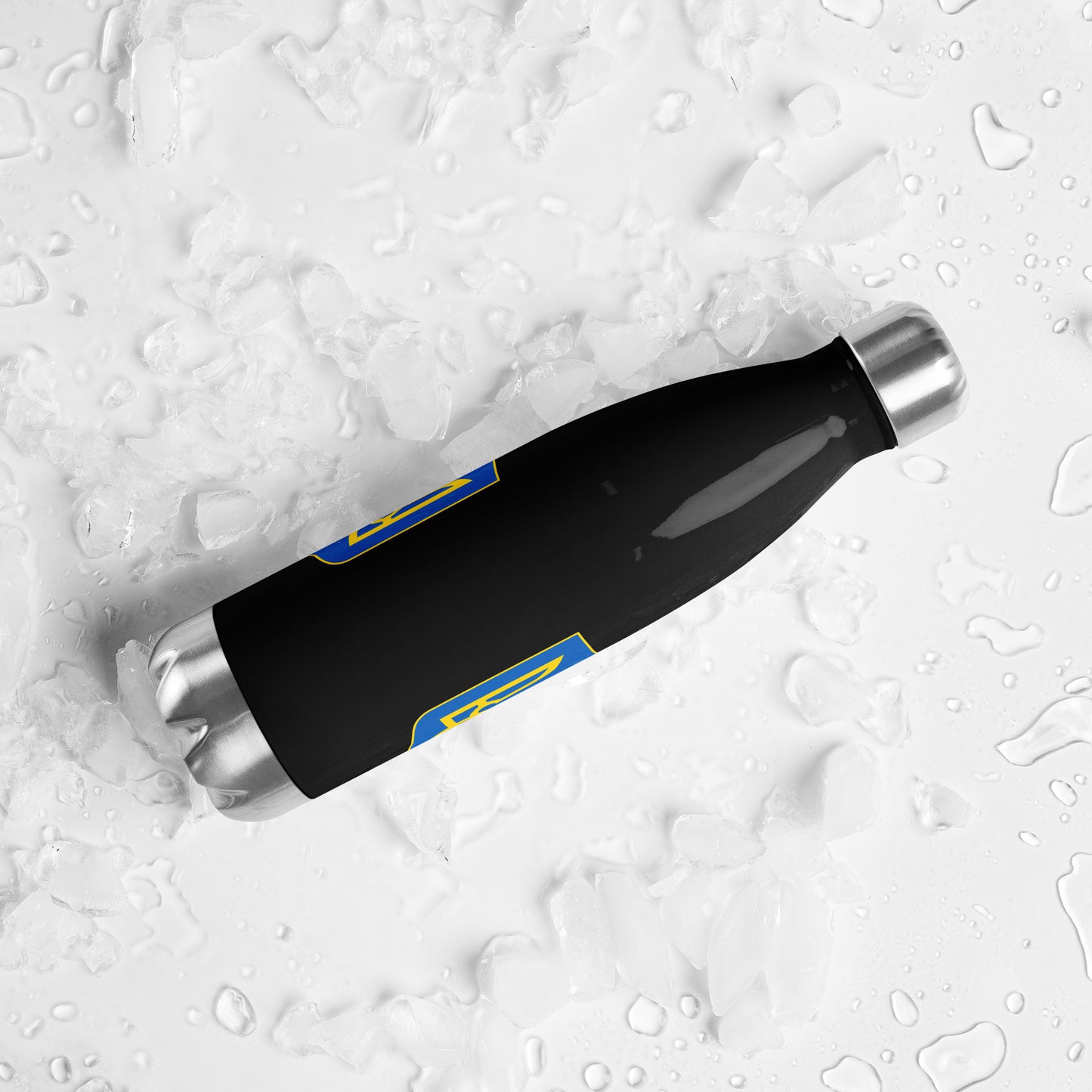 Stainless Steel Water Bottle - Trident