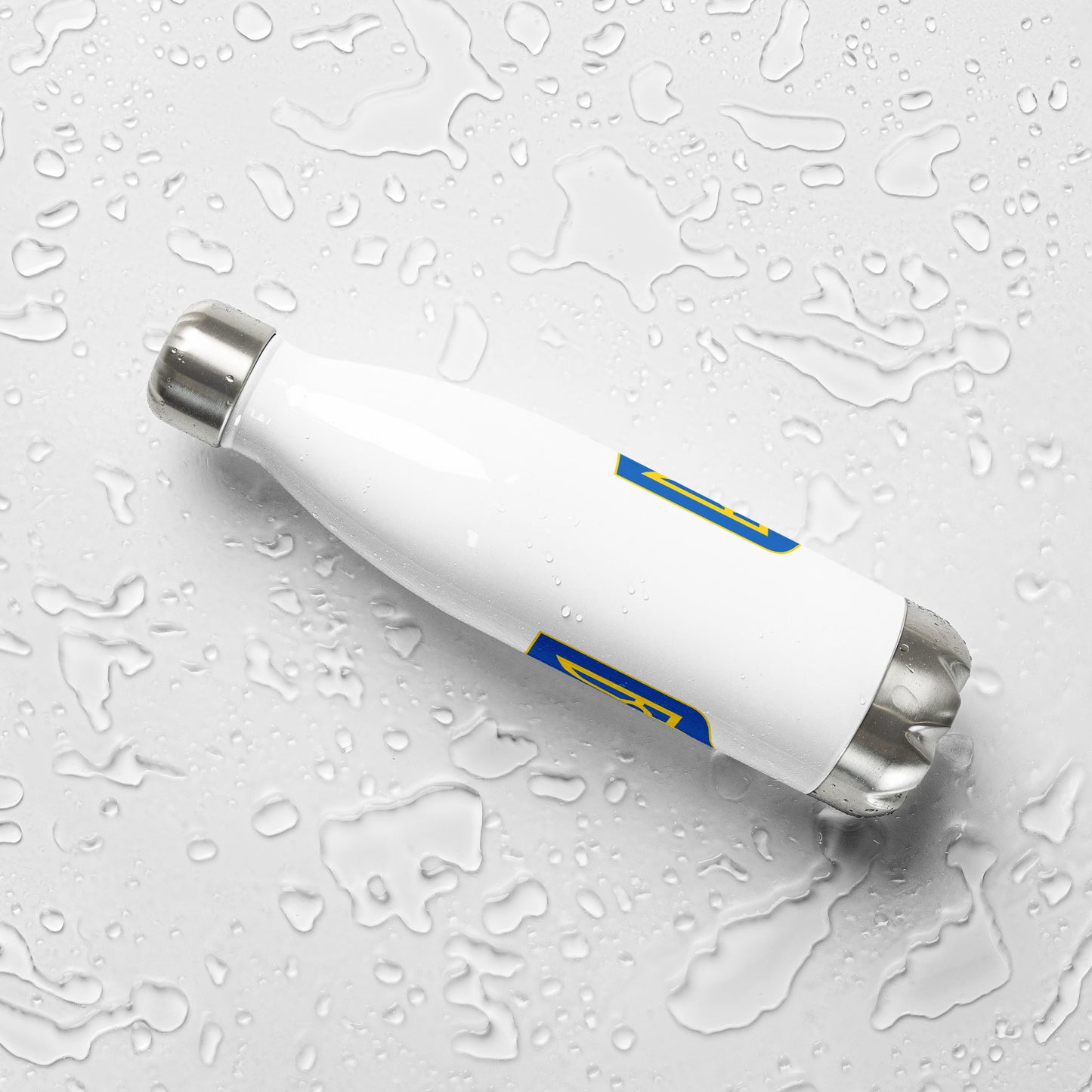 Stainless Steel Water Bottle - Trident