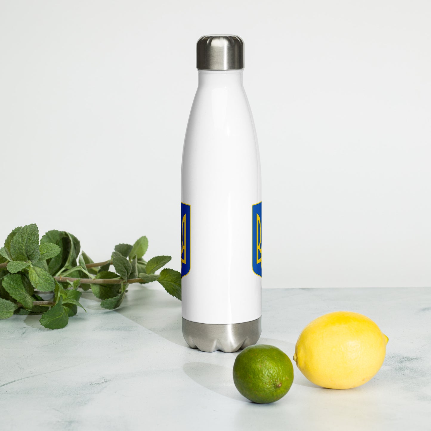 Stainless Steel Water Bottle - Trident