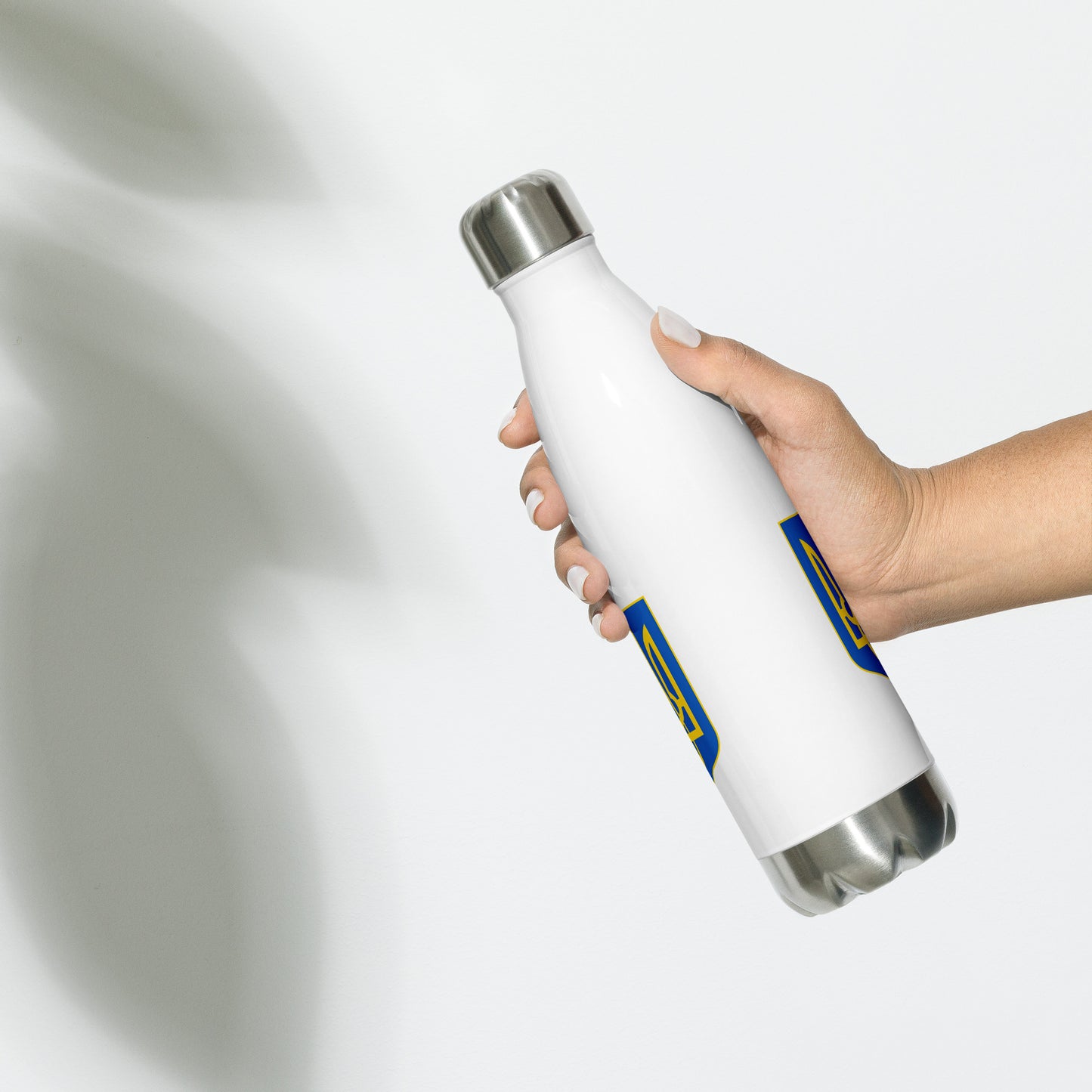 Stainless Steel Water Bottle - Trident