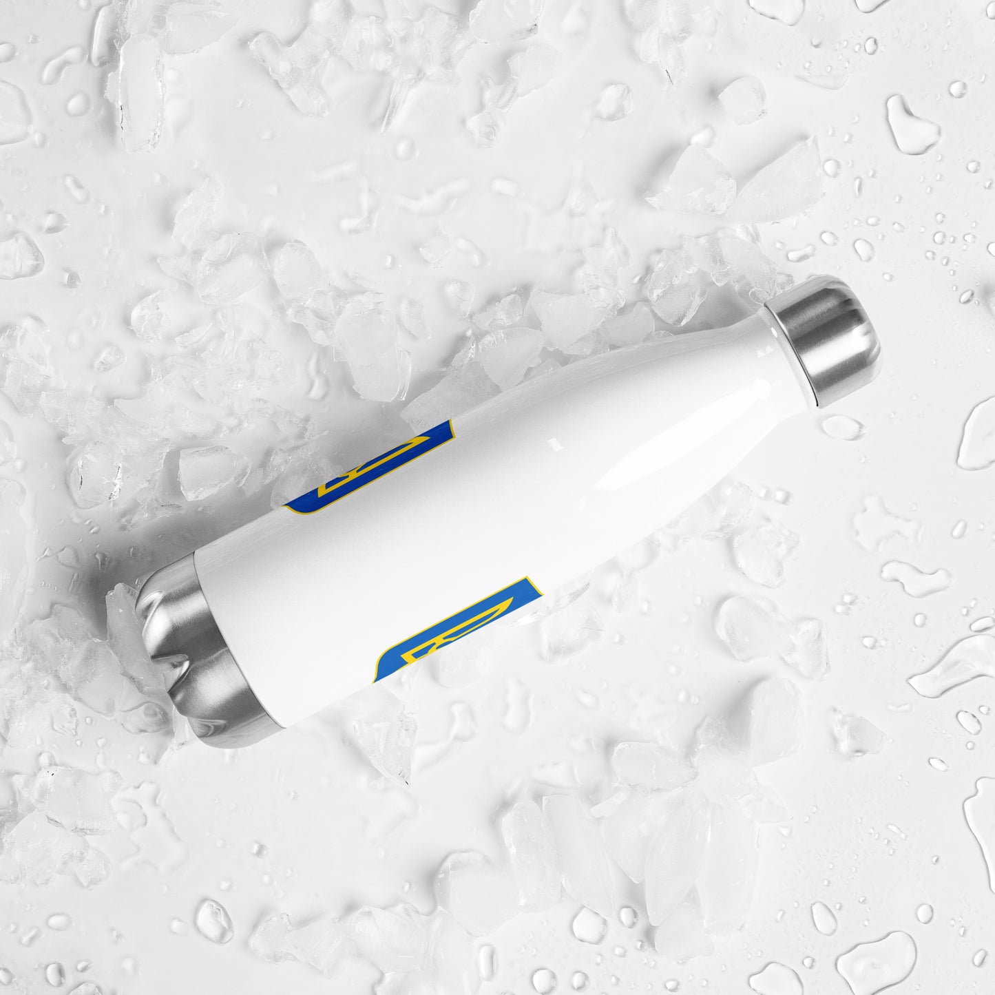 Stainless Steel Water Bottle - Trident