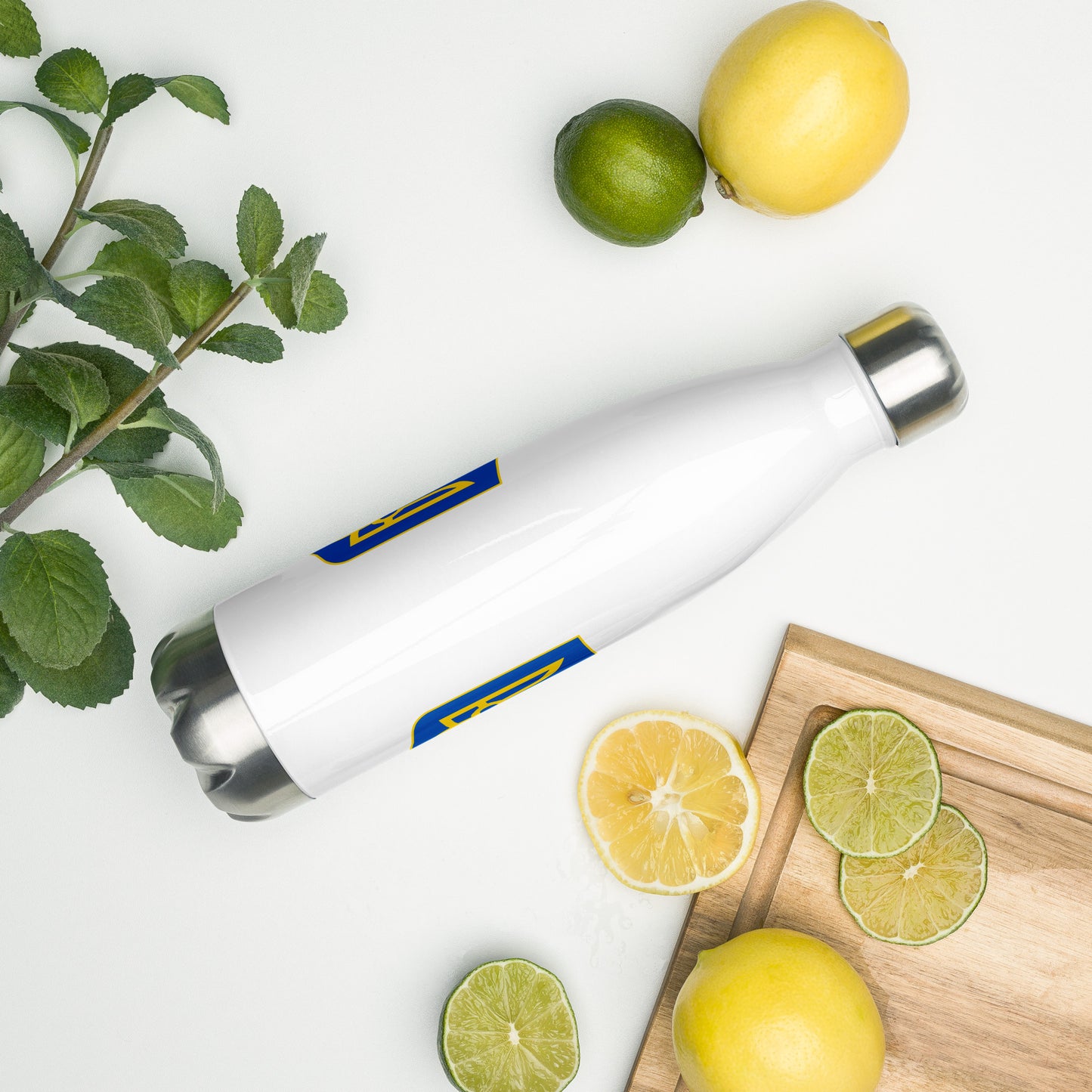 Stainless Steel Water Bottle - Trident