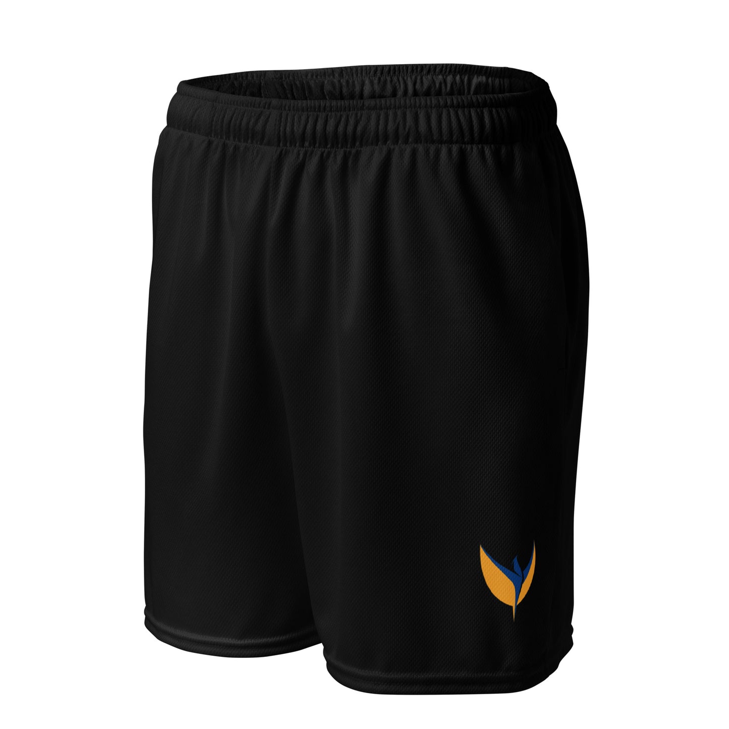 Unisex Black Mesh Shorts - Phoenix