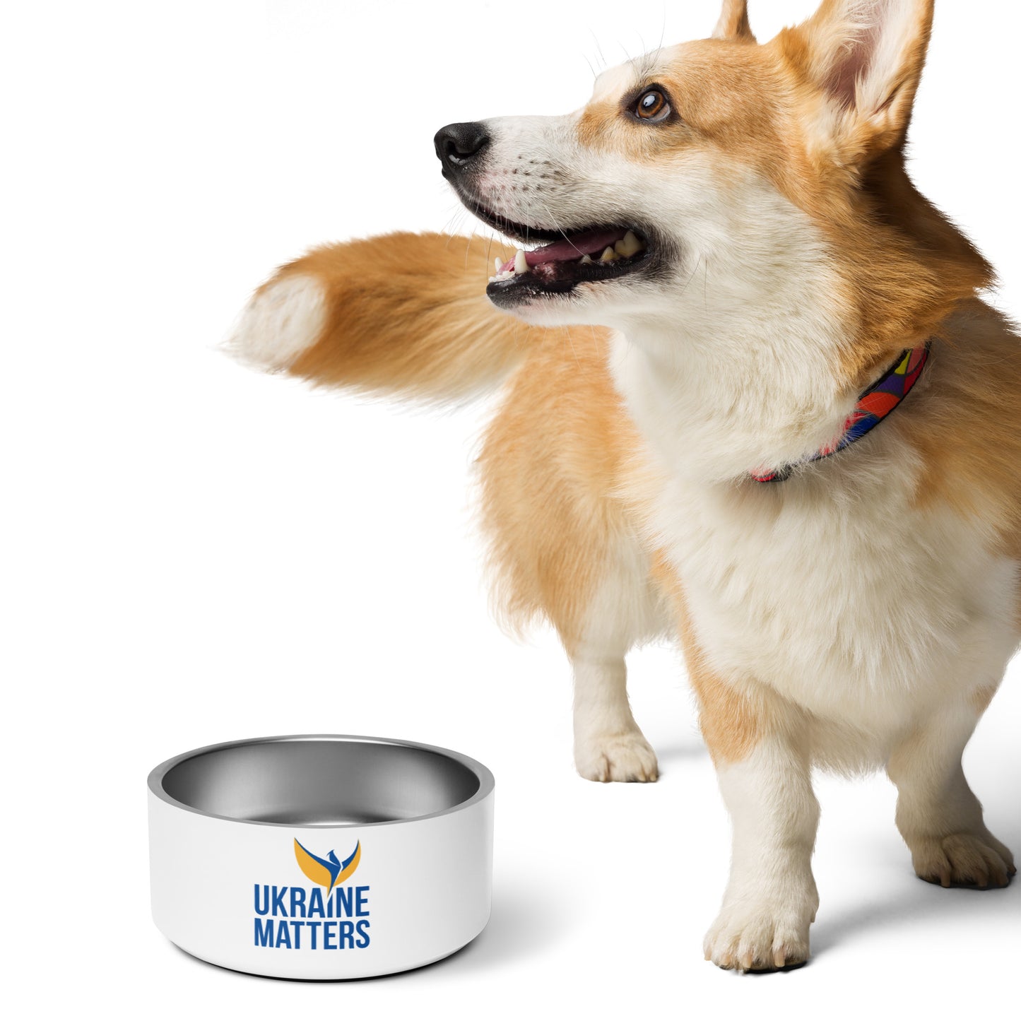 Pet Bowl - Ukraine Matters Logo