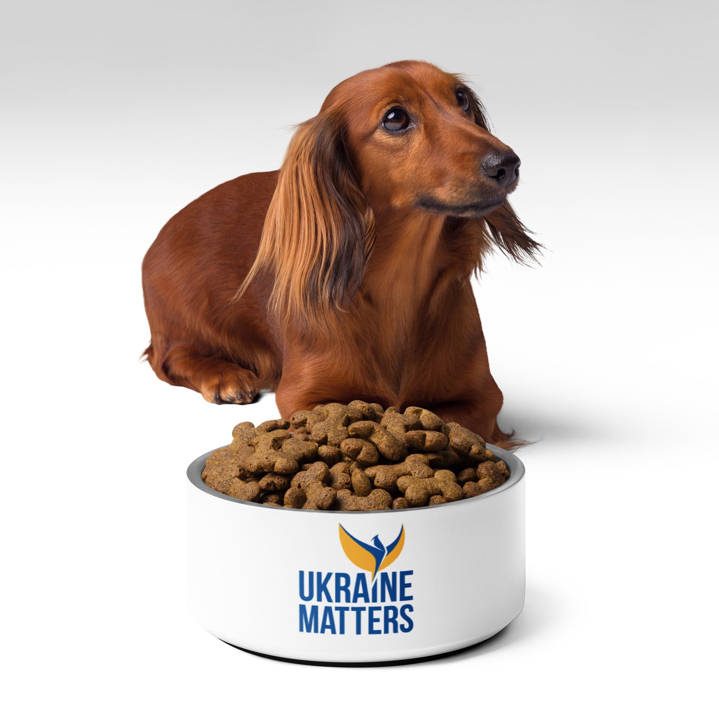 Pet Bowl - Ukraine Matters Logo